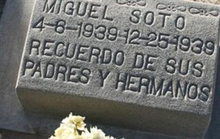 Miguel Vega Soto Miguel Vega Soto