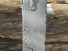 Miguel Vizzera Miguel Vizzera