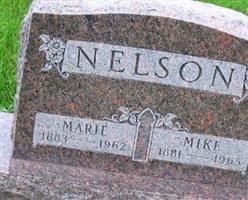 Mike Nelson Mike Nelson