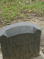 Mike Nipper