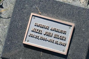 Mikel John Hilger