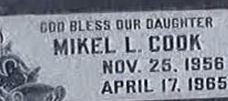 Mikel L Cook