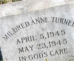 Mildred Anne Turner