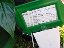 Mildred Louise Robbins Van Popering Mildred Louise Robbins Van Popering