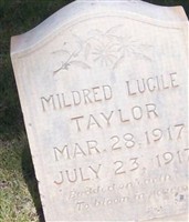 Mildred Lucile Taylor Mildred Lucile Taylor