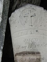 Milena Cardinal
