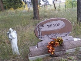 Miles P Wilson Miles P Wilson