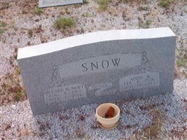 Millard N. (Newt) Snow