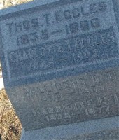 Millicent D T Eccles