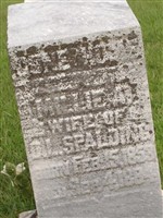 Millie A. Spalding Millie A. Spalding