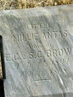 Millie Antas Brown