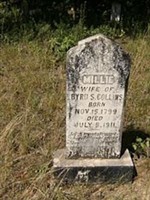 Millie Collins Millie Collins