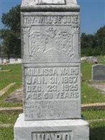 Millissa Ward Millissa Ward