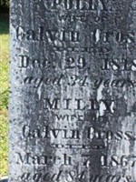 Milly Cross