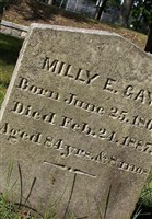 Milly E. Gay Milly E. Gay