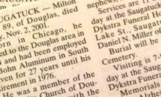 Milton Palm
