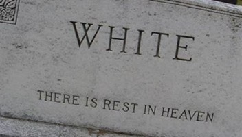 Milton Ture White Milton Ture White