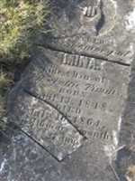 Mina Timms