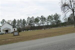 Mineola Cemetery