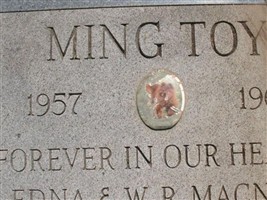 Ming Toy MacNeil Ming Toy MacNeil