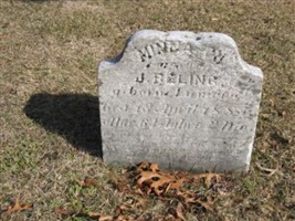 Minna C. H. Liemann Beling