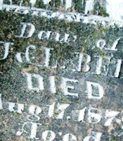 Minna L Bell (1916749.jpg)