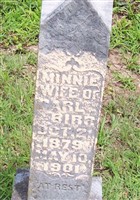 Minnie Birr