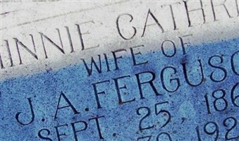 Minnie Catherine Land Ferguson