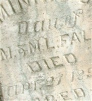 Minnie D. Fall