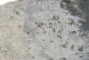 Minnie E. Husted