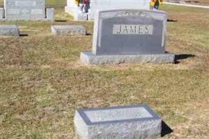 Minnie Lee Flint James