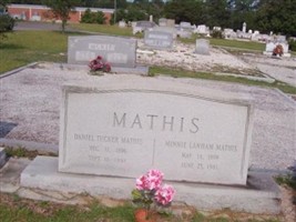 Minnie Lena Lanham Mathis Minnie Lena Lanham Mathis