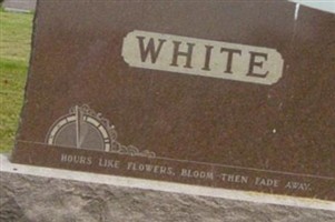 Minnie V White Minnie V White