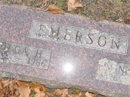 Minot E Emerson Minot E Emerson