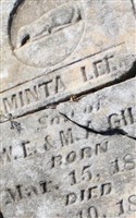 Minta Lee Gill Minta Lee Gill