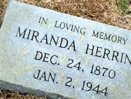 Miranda Herring