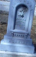 Miriam N. Horning Miriam N. Horning