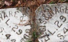 Miriam S. Ellis Miriam S. Ellis