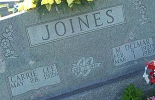 Mitchel Delmar Joines