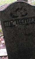 Mittie Eliza Furman