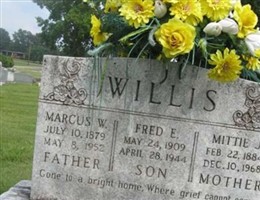 Mittie Jane Tate Willis