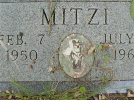 Mitzi Mitzi