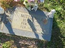 Mitzi Dale Hawkins