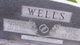 Mitzi Wells Mitzi Wells