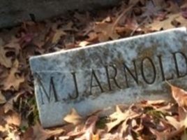 M J Arnold M J Arnold