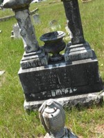 M J Cochran