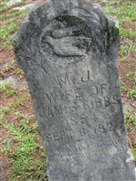 M J Gibbs