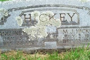 M J Hickey