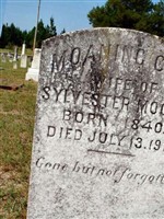 Moaning Cave Moore