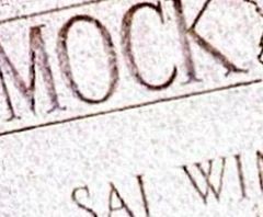 Mock Duck